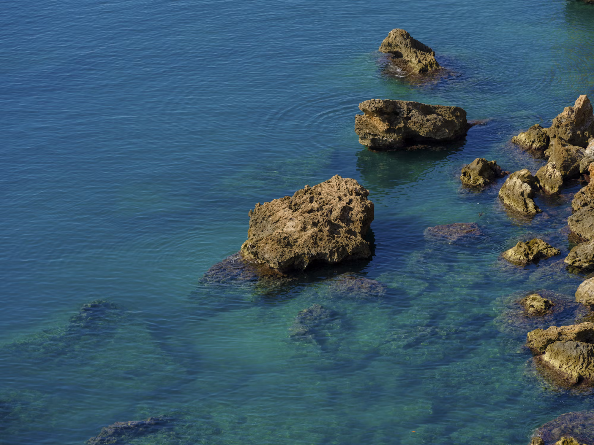 Culinary Journeys: Exploring Global Cuisine Through Travel